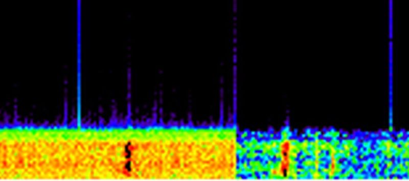 Фрагмент звуковой спектрограммы Bloop   Обычно мы узнаем их сразу
